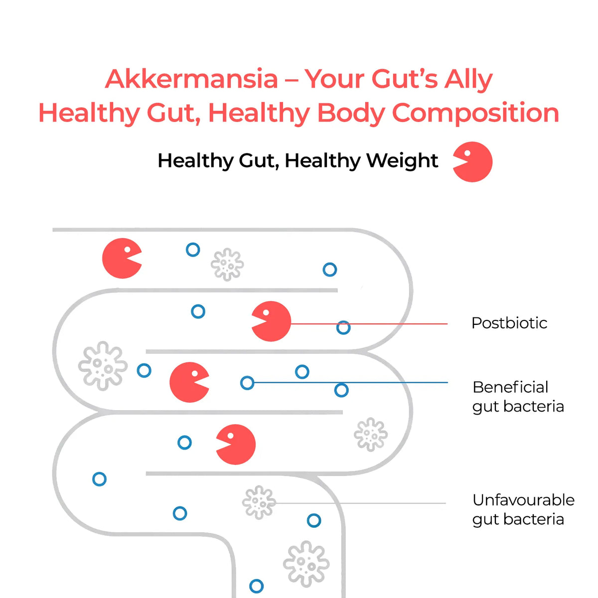 Akkermansia Plus 15-in-1 Complex