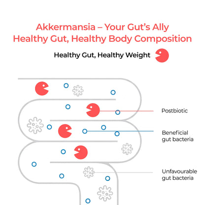 Akkermansia Plus 15-in-1 Complex